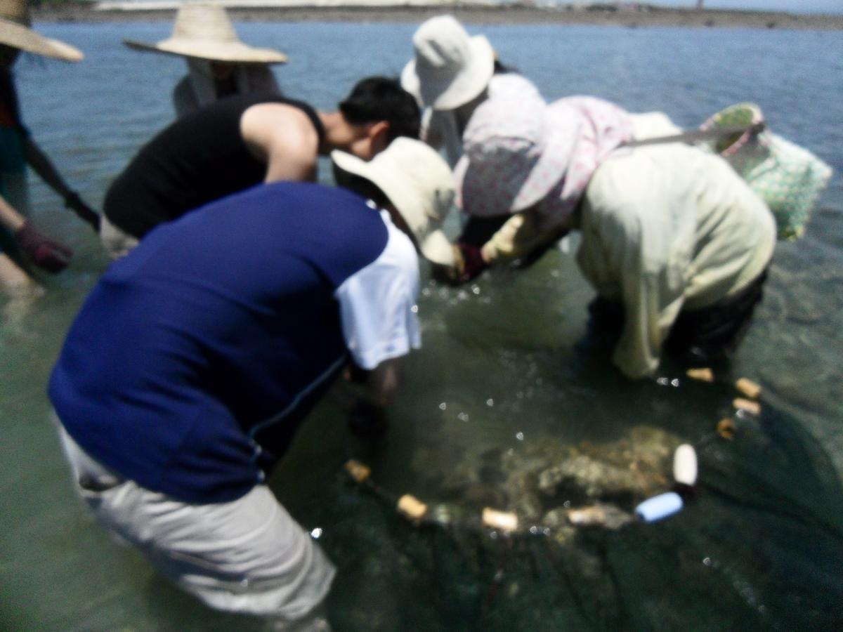 Penghu Chenhi Bay Homestay Baisha Zewnętrze zdjęcie