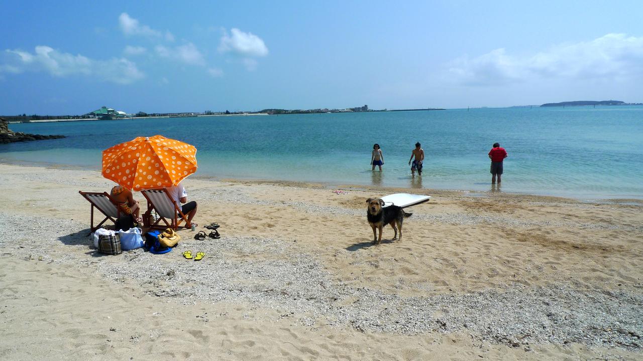 Penghu Chenhi Bay Homestay Baisha Zewnętrze zdjęcie